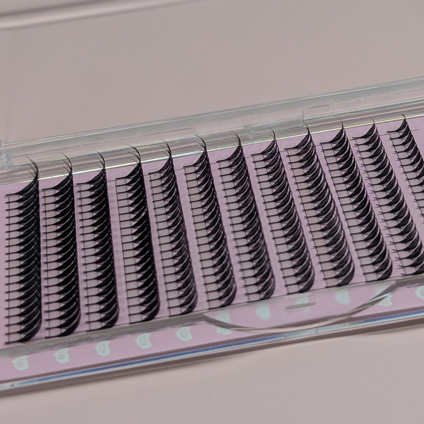ANIME LASHES