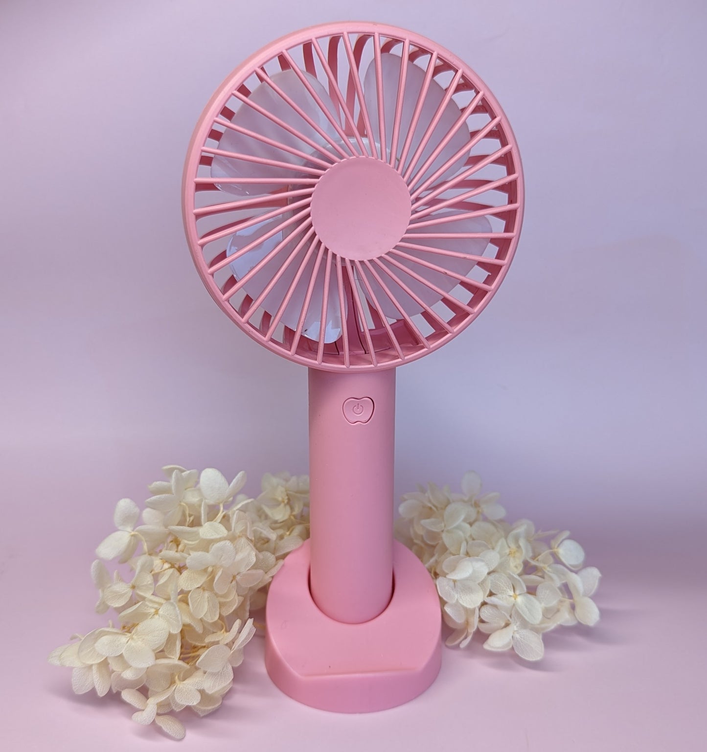 PORTABLE LASH FANS