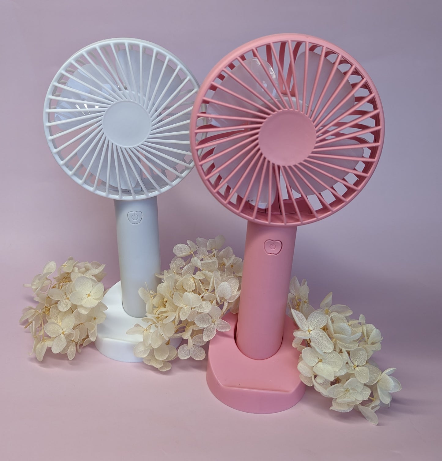 PORTABLE LASH FANS